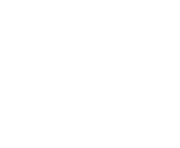 Ottorigo