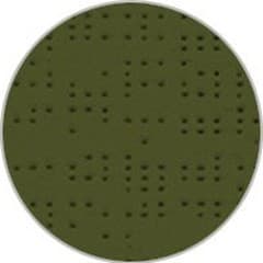 Beetle blind fabric, reference 92-2149, showing the weave